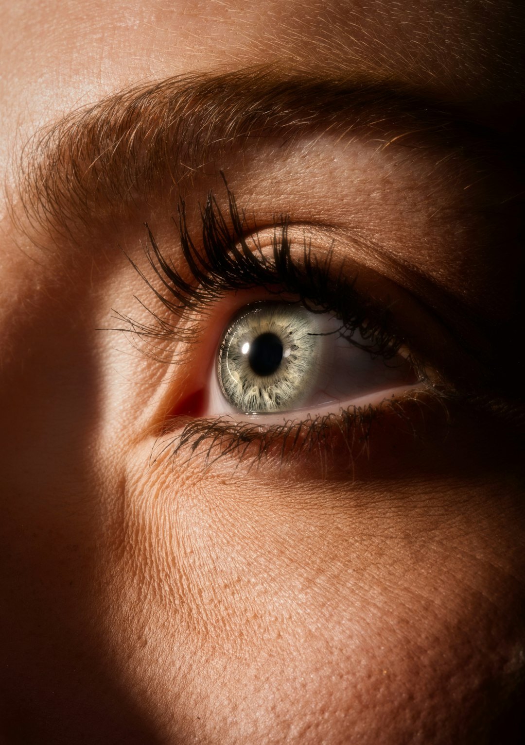 Close up of a suspicious eye watching through shadows